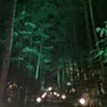 Nihal S. Nihal Hanım yorum